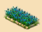 19.png