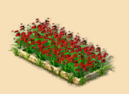 27.png