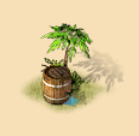 34.png
