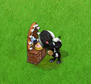 5.png