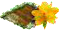 7.png