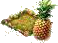 Ананас.png