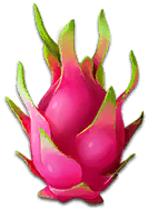 anim_04_dragonfruit.png