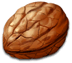 anim_09_walnut.png