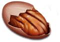 anim_10_pecan.png