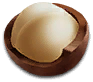 anim_11_macadamia.png