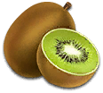 anim_14_kiwi.png