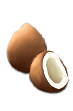 anim_squirrel_icon4.png