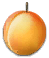 apricot_orange_yield.png