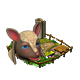armadillo_workshop_0_big.png