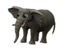 багамский слон.png