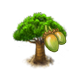 baobab_upgrade_0_big.png