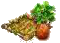 Батат.png