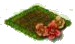 Бегония.png
