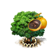 blacksapote_upgrade_1_big.png