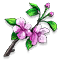 blossom.png