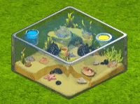 boxfish_upgrade_1.gif