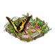 butterfly_workshop_0_big.png