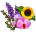 category_flowers.png