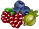 category_others.png