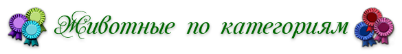 cathead.png