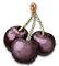cherry_columnarsour_yield.png