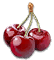 cherry_giant_yield.png