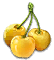 cherry_yellowcartilage_yield.png