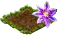 clematis.png