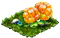 cloudberry.png