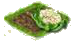 Цветная капуста.png
