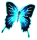 cyberButterfly.png