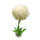 dandelion_small.png