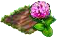 Донник.png