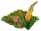 Эремурус.png