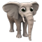 elephant_stable_00_regular_icon.png