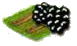 Ежевика.png