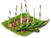 Фасоль.png