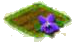 Фиалка.png