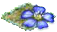 flax.png