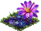 flowercactus.png