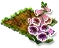 foxglove.png
