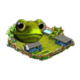 frog_workshop_0_big.png