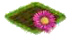 Гербера.png