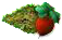 giantradish.png