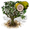 graviola_upgrade_0.png