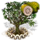graviola_upgrade_1.png