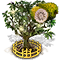 graviola_upgrade_2.png