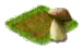 Гриб.png