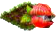 Гуарана.png